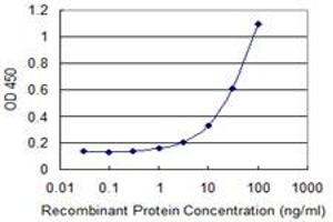 Detection limit for recombinant GST tagged ZNF232 is 1 ng/ml as a capture antibody. (ZNF232 抗体  (AA 181-280))