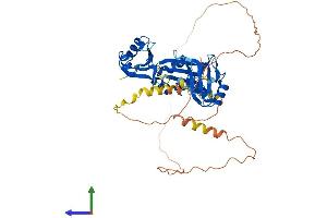 Protein Structure (PS) image for CUGBP, Elav-Like Family Member 3 (CELF3) (AA 1-465) protein (His tag) (ABIN7559379)
