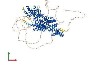 Protein Structure (PS) image for Cell Division Cycle 27 Homolog (S. Cerevisiae) (CDC27) (AA 1-825) protein (His tag) (ABIN7561871)