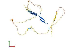 Protein Structure (PS) image for B-Cell CLL/lymphoma 7B (BCL7B) (AA 1-202) protein (His tag) (ABIN7560195)