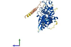 Protein Structure (PS) image for Tubulointerstitial Nephritis Antigen (TINAG) (AA 1-476) protein (His tag) (ABIN7544557)