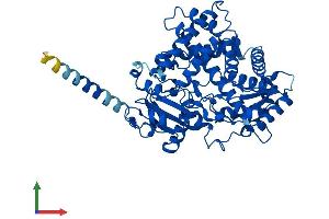 Protein Structure (PS) image for Cytochrome P450, Family 2, Subfamily R, Polypeptide 1 (CYP2R1) (AA 1-501) protein (His tag) (ABIN7558119)