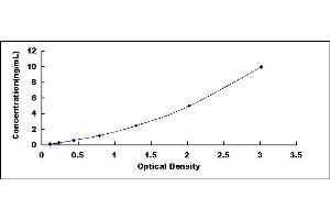 Typical standard curve (TJP1 ELISA 试剂盒)