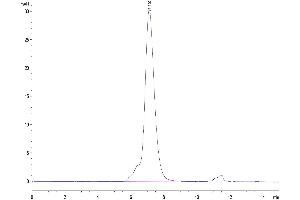Size-exclusion chromatography-High Pressure Liquid Chromatography (SEC-HPLC) image for CD96 (CD96) (AA 22-503) protein (His tag) (ABIN7274264)