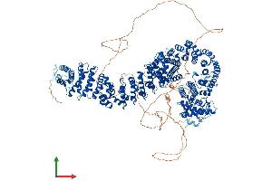 Protein Structure (PS) image for PDS5, Regulator of Cohesion Maintenance, Homolog B (PDS5B) (AA 1-1447) protein (His tag) (ABIN7554898)