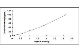 Typical standard curve (Septin 8 ELISA 试剂盒)