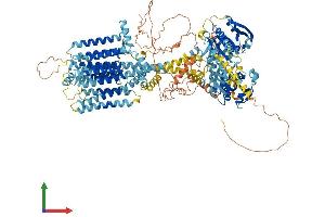 AlphaFold protein structure predicition of Mouse Recombinant Adcy8 Protein, UniprotID P97490