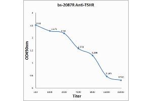 Antigen: 0. (TSH receptor 抗体  (AA 201-300))