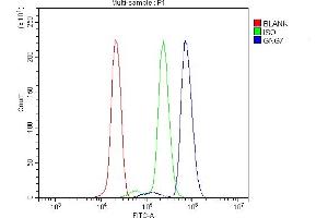 Flow Cytometry analysis of U937 cells using anti-GNG7 antibody (ABIN7600508). (GNG7 抗体  (AA 2-57))