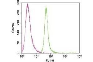 Cell surface detection of KV1.
