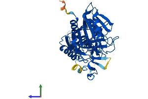 Protein Structure (PS) image for Bile Acid CoA: Amino Acid N-Acyltransferase (Glycine N-Choloyltransferase) (BAAT) (AA 1-420) protein (His tag) (ABIN7564806)