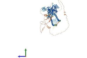 Protein Structure (PS) image for Caspase Recruitment Domain Family, Member 11 (CARD11) (AA 1-1159) protein (His tag) (ABIN7564599)