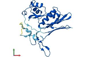 AlphaFold protein structure predicition of Human Recombinant GGTLC3 Protein, UniprotID B5MD39