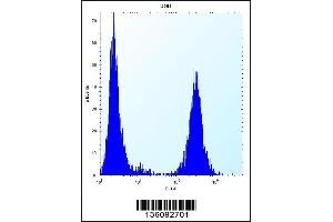 Flow Cytometry (FACS) image for anti-Transforming Growth Factor, beta-Induced, 68kDa (TGFBI) (AA 106-135), (N-Term) antibody (ABIN5532297)