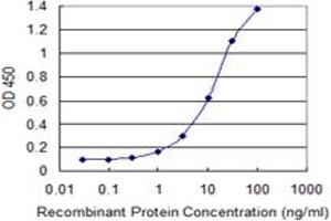 Detection limit for recombinant GST tagged STX16 is 0. (Syntaxin 16 抗体  (AA 1-99))