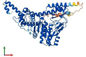 AlphaFold protein structure predicition of Human Recombinant SEPSECS Protein, UniprotID Q9HD40