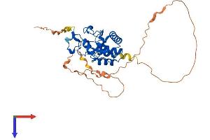 DUSP11 Protein (AA 1-321) (His tag)