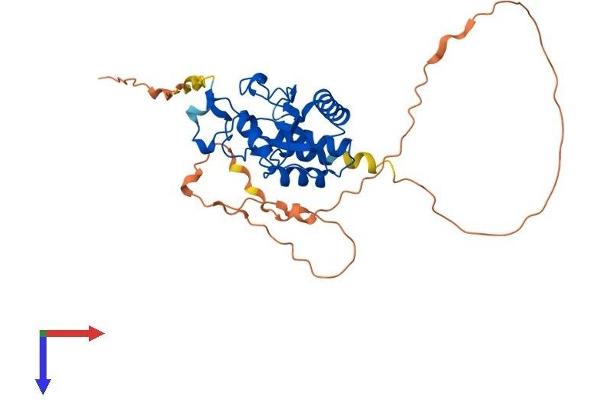 DUSP11 Protein (AA 1-321) (His tag)