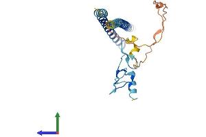 AlphaFold protein structure predicition of Mouse Recombinant Ing4 Protein, UniprotID Q8C0D7
