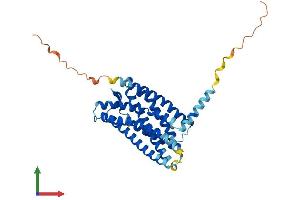 AlphaFold protein structure predicition of Human Recombinant XCR1 Protein, UniprotID P46094