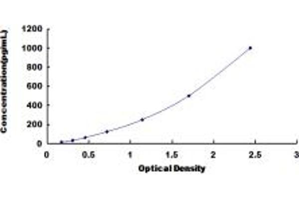 IFNA10 ELISA 试剂盒
