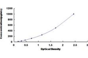 Typical standard curve (IFNA10 ELISA 试剂盒)