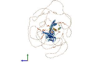 CAPRIN2 Protein (AA 1-1127) (His tag)