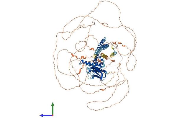 CAPRIN2 Protein (AA 1-1127) (His tag)
