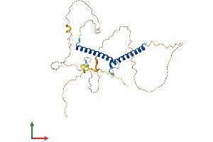 Protein Structure (PS) image for Oligodendrocyte Lineage Transcription Factor 2 (OLIG2) (AA 1-323) protein (His tag) (ABIN7561415)