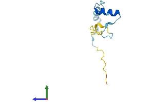 Protein Structure (PS) image for Musculoskeletal, Embryonic Nuclear Protein 1 (MUSTN1) (AA 1-82) protein (Fc Tag) (ABIN7560313)
