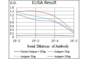 ELISA image for anti-Vav 1 Oncogene (VAV1) (AA 121-324) antibody (ABIN1845807) (VAV1 抗体  (AA 121-324))