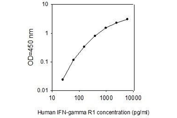 IFNGR1 ELISA 试剂盒