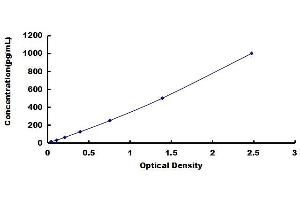 Typical standard curve (NDNF ELISA 试剂盒)