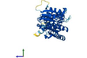 AlphaFold protein structure predicition of Human Recombinant EEF2KMT Protein, UniprotID Q96G04 (EEF2KMT (AA 1-330) protein (His tag))