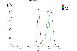 Flow Cytometry analysis of A549 cells using anti-SGCE antibody (ABIN7601544). (SGCE 抗体  (AA 38-407))