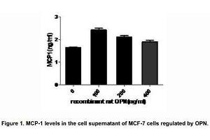 Image no. 2 for Secreted phosphoprotein 1 (SPP1) (AA 17-317) (Active) protein (His tag) (ABIN6239750)