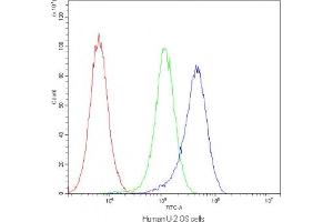 Flow Cytometry (FACS) image for anti-Aquaporin 1 (Colton Blood Group) (AQP1) (C-Term) antibody (ABIN3030001)