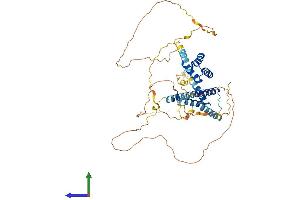 AlphaFold protein structure predicition of Mouse Recombinant Meis2 Protein, UniprotID P97367