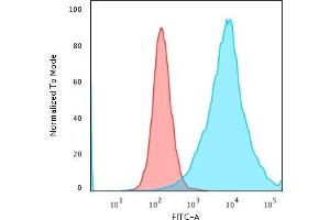 Flow Cytometric Analysis of PFA-fixed K562 cells using CD43 Rabbit Recombinant Monoclonal Antibody (SPN/1766R) followed by Goat anti-Rabbit- IgG-CF488 (Blue); Isotype Control (Red) (Recombinant CD43 抗体)