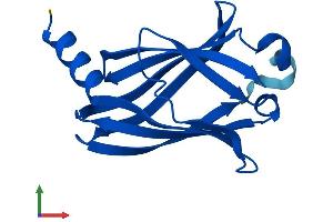 Protein Structure (PS) image for phosphodiesterase 6D, CGMP-Specific, Rod, delta (PDE6D) (AA 1-150) protein (His tag) (ABIN7550671)