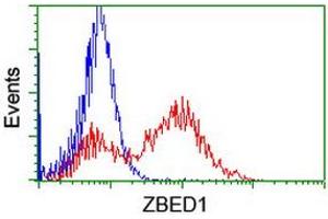 Image no. 4 for anti-Zinc Finger, BED-Type Containing 1 (ZBED1) antibody (ABIN1501793) (ZBED1 抗体)