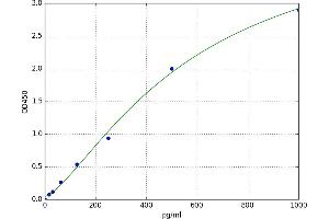 Elastin Microfibril Interfacer 1 (EMILIN1) ELISA Kit