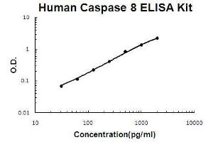Human Caspase 8 PicoKine ELISA Kit standard curve (Caspase 8 ELISA 试剂盒)