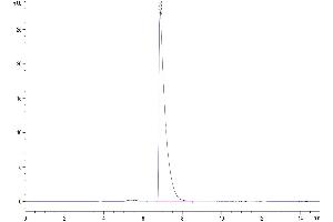 Size-exclusion chromatography-High Pressure Liquid Chromatography (SEC-HPLC) image for Carcinoembryonic Antigen-Related Cell Adhesion Molecule 1 (CEACAM1) (AA 35-428) protein (His tag) (ABIN7274332)
