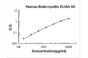 Typical Standard Curve