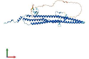 Protein Structure (PS) image for Growth Arrest-Specific 7 (GAS7) (AA 1-421) protein (His tag) (ABIN7557615)