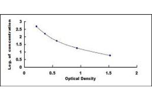 Typical standard curve (Urotensin 2 ELISA 试剂盒)