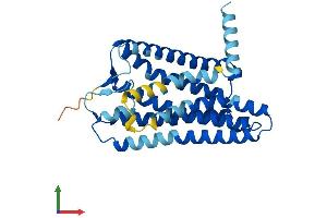 Protein Structure (PS) image for Olfactory Receptor, Family 2, Subfamily T, Member 8 (OR2T8) (AA 1-312) protein (His tag) (ABIN7550458)