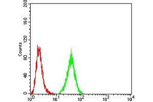 Flow Cytometry (FACS) image for anti-PR Domain Containing 5 (PRDM5) (AA 1-100) antibody (ABIN5874500) (PRDM5 抗体  (AA 1-100))