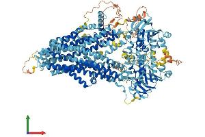 Protein Structure (PS) image for ATP-Binding Cassette, Sub-Family C (CFTR/MRP), Member 11 (ABCC11) (AA 1-1382) protein (His tag) (ABIN7551796)